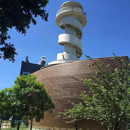 Levendula * Balatonföldvár